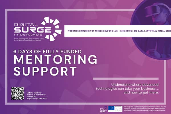 Avail of six days of mentoring support from advanced technology experts