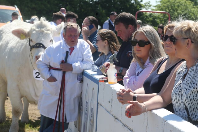 Pictured at Ballymoney Show in the Saturday sunshine