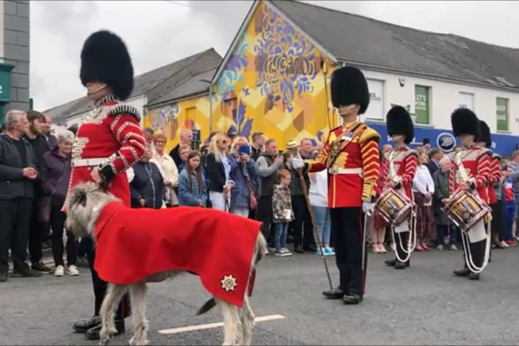 Northern Ireland Armed Forces Day 2022: Watch the Drumhead Service and march past by armed forces and veterans in Banbridge ahead of Red Arrows flypast