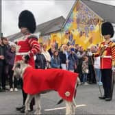Armed Forces Day 2022 in Banbridge