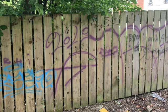 Garden fences defaced with graffiti in Craigavon, Co Armagh.