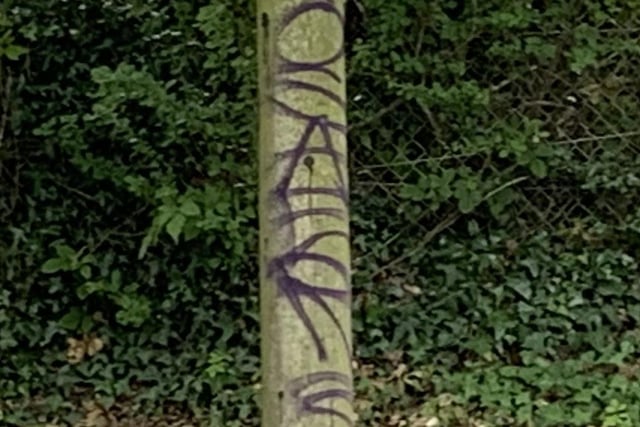 Telegraph poles in Portadown have not escaped the graffiti splurge.