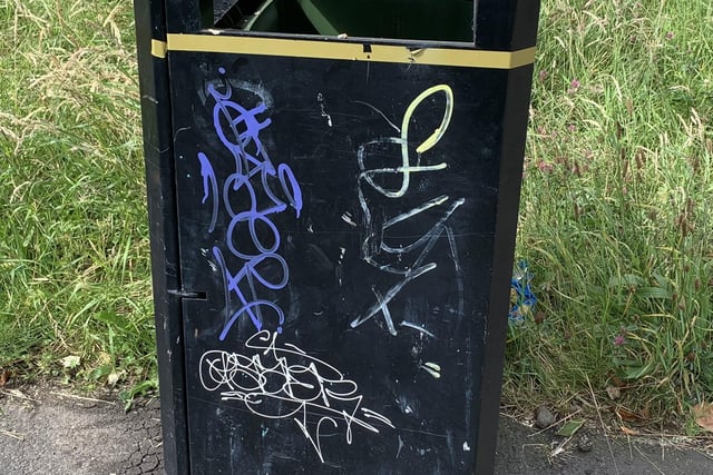Litter bins daubed in graffiti across the Portadown and Craigavon areas.
