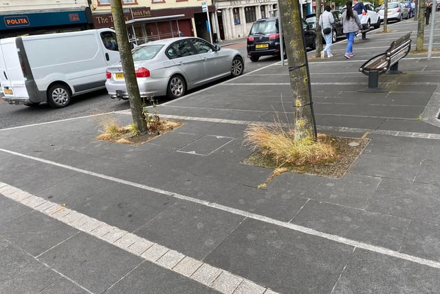 Weeds in Lurgan town centre. Upper Bann MP Carla Lockhart has complained about the state of the town centres in Portadown and Lurgan, Co Armagh.
