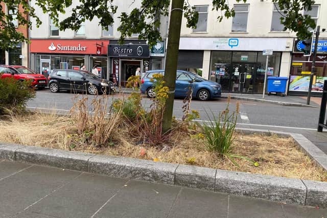 Weeds in a 'flower bed' in Lurgan town centre. Upper Bann MP Carla Lockhart has complained about the state of the town centres in Portadown and Lurgan, Co Armagh.