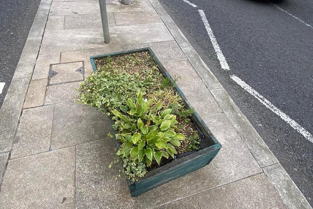 Weeds in a 'flower bed' in Portadown town centre. Upper Bann MP Carla Lockhart has complained about the state of the town centres in Portadown and Lurgan, Co Armagh.