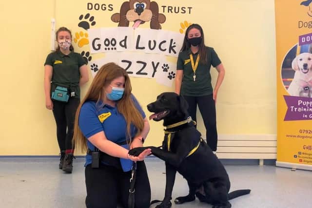 Rehoming Centre staff say farewell to Ozzy