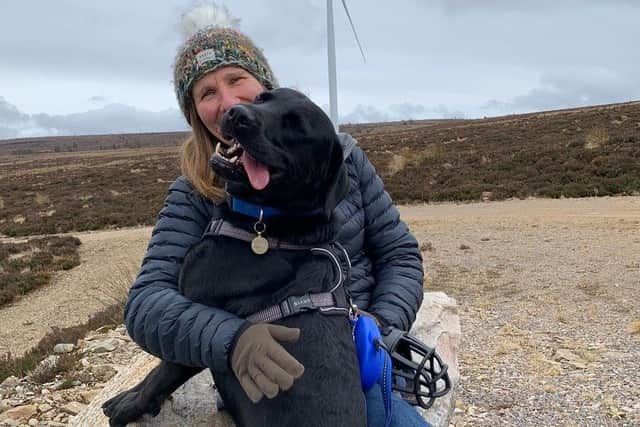 Just over a year later, Ozzy is a changed dog, enjoying many adventures in the Highlands including daily walks in quiet country fields