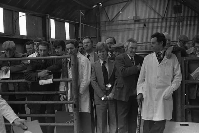 Watching the judging of Landrace pigs at the breed show and sale at Ballyclare in April 1980. Picture: Farming Life archives