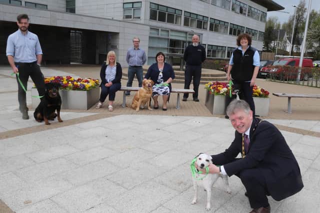 The Mayor of Causeway Coast and Glens Borough Council Alderman Mark Fielding (with dog Poppy) has helped to launch the Green Dog Walkers Scheme alongside Ben Callan, Enforcement Officer, (with dog Mayze) Councillor Margaret Anne McKillop, Ciaran Doran - Senior Environmental Health Officer, the Mayoress Mrs Phyllis Fielding, (with dog Finn) Jeremy Callan, Enforcement Officer and Gail McGrellis, Enforcement Officer (with dog Harley)