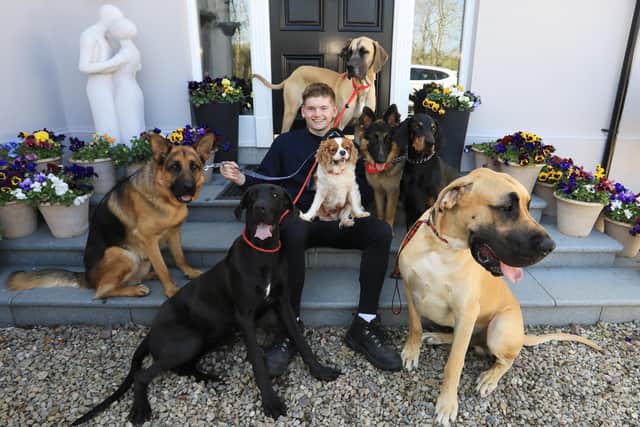 Joshua Ryans from Gilford loves nothing more than relaxing after work at his new job by walking his family’s seven dogs. Usel’s STRIDE Project, which supported 75 people with disabilities to find employment during the pandemic, is launching a series of free events in May aimed at helping to get more people into work.
