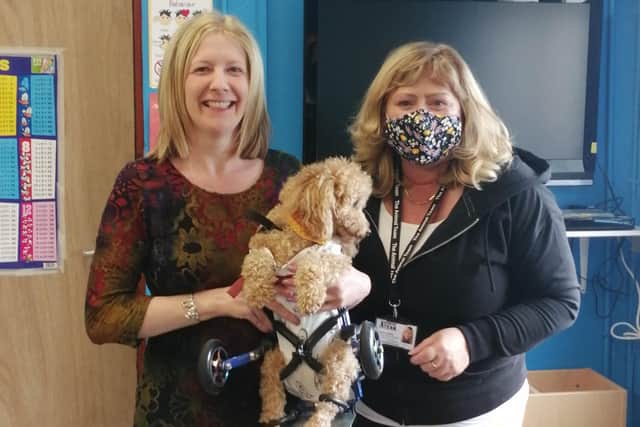 Debbie Goss from Tuition Time with Henry and his owner, Sharon Warnock.