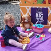 Could you hold a Great Big Purple Picnic?