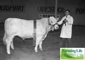 Caldwell McAskie from Omagh with Mountjoy Friar, the supreme champion at the Northern Ireland Charolais Club's April sale at the Automart, Portadown in 1991. Picture: Eddie Harvey/Farming Life archives