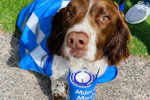 Sue and the rest of the team at Doggos Doggy Daycare (including Hunter , pictured) have raised funds for Miles4Minds Ramore2Dromore walk