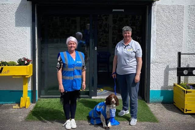 Sue and the rest of the team at Doggos Doggy Daycare (including Hunter, pictured) have raised funds for Miles4Minds Ramore2Dromore walk