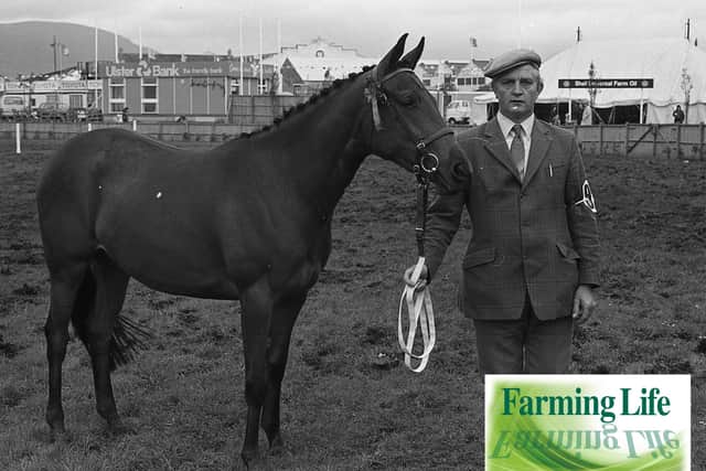 Robert Harrison from Kircubbin, Co Down, with his champion pony at the Balmoral Show in May 1981. Picture: Farming Life archives