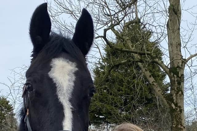 Carrickfergus woman Sarah McCarthy said the dam was a 'valuable' location for horse riders.