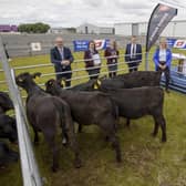 Dalriada School pupils Victoria Currie and Lois McCurdy receive their Angus cross calves to rear and are pictured with Martin McKendry, CAFRE College Director, George Mullan, ABP Managing Director, mentor Rachel Megarrell from CAFRE and Charles Smith, NI Angus Producer Group. Missing from the team is Ivanna Strawbridge