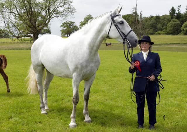 Shirley Hurst from Lisbellaw, with "Milhollaw Starlet" belongining to C & V Coulter, Castlederg,  winner of the Brood RID mare class at Enniskillen Horse and Pony Show.