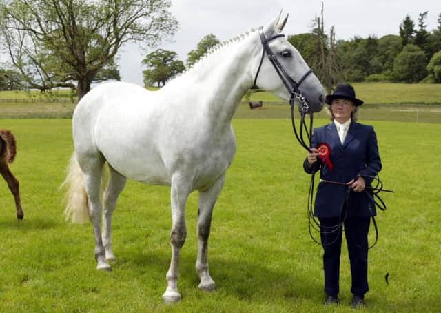 Shirley Hurst from Lisbellaw, with "Milhollaw Starlet" belongining to C & V Coulter, Castlederg, winner of the Brood RID mare class at Enniskillen Horse and Pony Show.