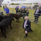 Friend's School pupils Molly Nelson, Meabh Quinn and Rachel McEntee receive their Angus cross calves to rear and are pictured with  mentor Noel McNeill from CAFRE, Charles Smith, Martin McKendry, CAFRE College Director, NI Angus Producer Group and George Mullan, ABP Managing Director.