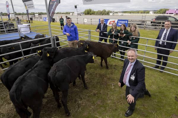 Friend's School pupils Molly Nelson, Meabh Quinn and Rachel McEntee receive their Angus cross calves to rear and are pictured with  mentor Noel McNeill from CAFRE, Charles Smith, Martin McKendry, CAFRE College Director, NI Angus Producer Group and George Mullan, ABP Managing Director.