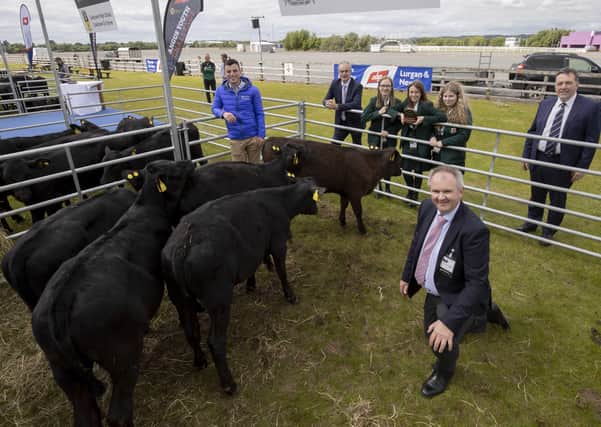 Friend's School pupils Molly Nelson, Meabh Quinn and Rachel McEntee receive their Angus cross calves to rear and are pictured with  mentor Noel McNeill from CAFRE, Charles Smith, Martin McKendry, CAFRE College Director, NI Angus Producer Group and George Mullan, ABP Managing Director.