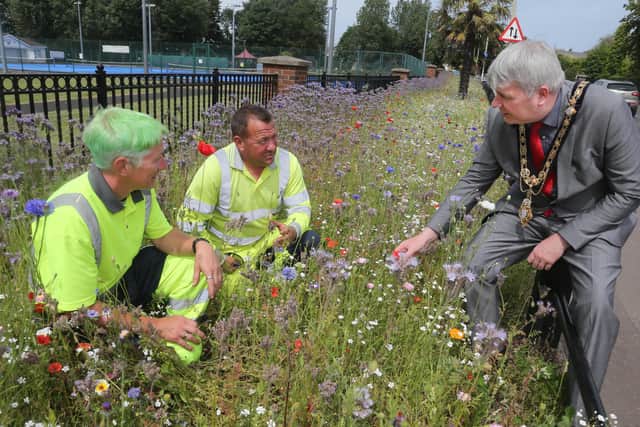 Winston Brogan and Rodney Boyd from Causeway Coast and Glens Borough Council’s Estates team speak to the Mayor about their involvement in creating and maintaining the wildflower bed at Anderson Park in Coleraine