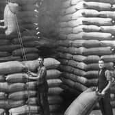 David Mark, formerly of Cabra, Newry at work in New Zealand finishing stacking 19,330 bags of oats. To discover more about migrants like David plan to visit The Ballance House New Zealand Museum and Event Centre this summer.  Photograph supplied  by Donal Clarke.