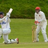 Donemana and North West Warriors batsman William McClintock is in the Ireland squad for the upcoming series against South Africa.