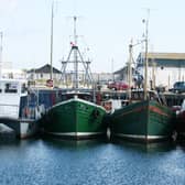 Fishing trawlers in Portavogie Harbour. Picture: Brian Little/News Letter archives