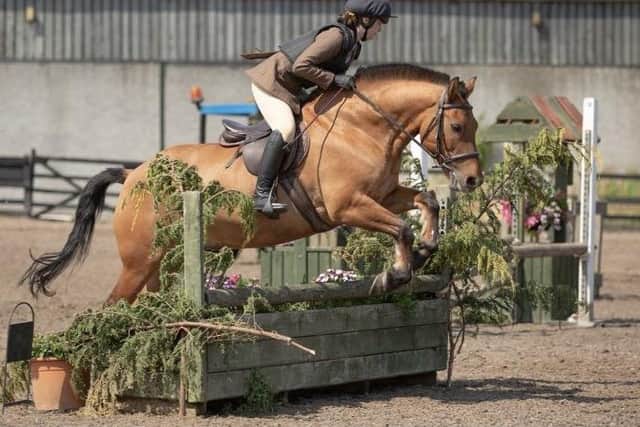 Summer Abbie jumping her pony Solo Star in the 70cm Working Hunter competition.