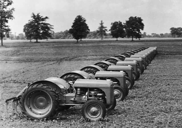 Early Massey Ferguson tractors