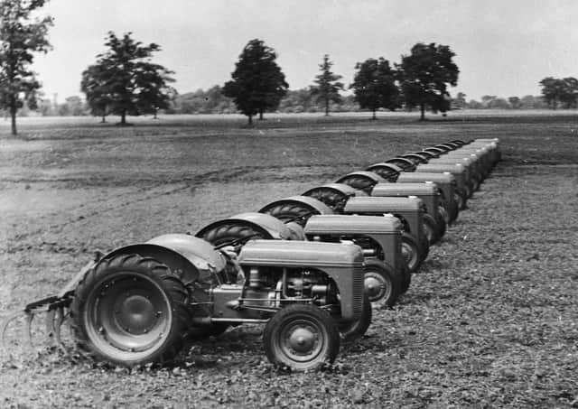 Early Massey Ferguson tractors. Picture: National Museums Northern Ireland