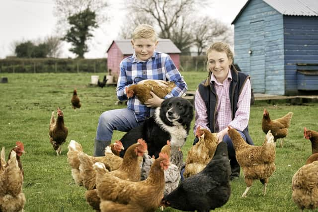 Pictured are Callum and Carys Logan from Hillstown Farm & Farm Shop, Randalstown. Hillstown has been participating in Bank of Ireland Open Farm Weekend since its inception in 2012.