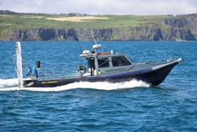 Public warned not to disturb marine wildlife