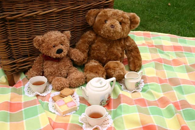 There will be a teddy bear's picnic in Carrickfergus this weekend.  Image by uksupafly from Pixabay.