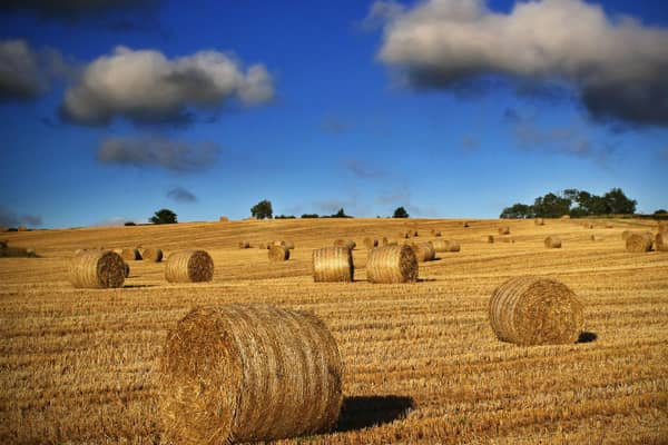 Straw bales near Loughbrickland. Picture: Alan Hopps, Markethill