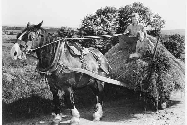 Harvest time in the Sperrins. 13 September 1960. PRONI Reference: D4069/9/1. Picture: The Deputy Keeper of the Records, Public Record Office of Northern Ireland