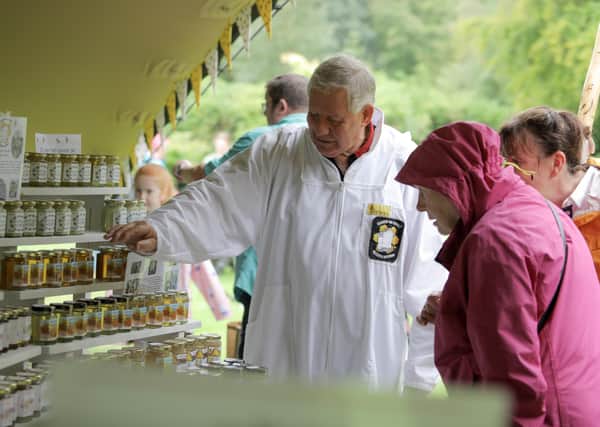 Mervyn Warrington of Killinchy Beekeepers Association with Catherine Rafferty and Ann Hodginton.
Picture: Philip Magowan/Press Eye