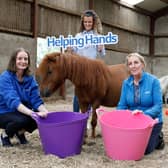 Crosskennan Lane Animal Sanctuary celebrate as they receive £300 thanks to Power NI’s staff sponsorship scheme, ‘Helping Hands.’ The initiative encourages Power NI staff members to nominate local organisations and groups they’re actively involved with to receive funding. Thanks to the nomination by Power NI employee Maria Fyfe, the funds will be used to purchase much needed equipment. Pictured from left to right: Power NI employee and volunteer Maria Fyfe, with Power NI’s Aoife Magennis, and Lyn Friel from Crosskennan Lane Animal Sanctuary