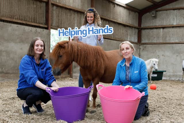 Crosskennan Lane Animal Sanctuary celebrate as they receive £300 thanks to Power NI’s staff sponsorship scheme, ‘Helping Hands.’ The initiative encourages Power NI staff members to nominate local organisations and groups they’re actively involved with to receive funding. Thanks to the nomination by Power NI employee Maria Fyfe, the funds will be used to purchase much needed equipment. Pictured from left to right: Power NI employee and volunteer Maria Fyfe, with Power NI’s Aoife Magennis, and Lyn Friel from Crosskennan Lane Animal Sanctuary