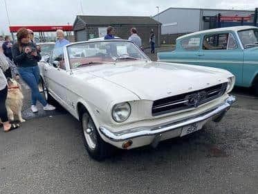 Classic Fords were popular at the fundraiser.