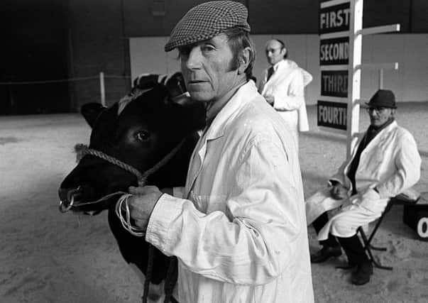 A man taking part in the cattle show at the Balmoral Show. Picture: Pacemaker Press