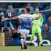 Linfield's Christy Manzinga and Glenavon's Andrew Doyle each picked up a red card in Saturday's scoreless draw at Mourneview Park. Pic by Pacemaker.