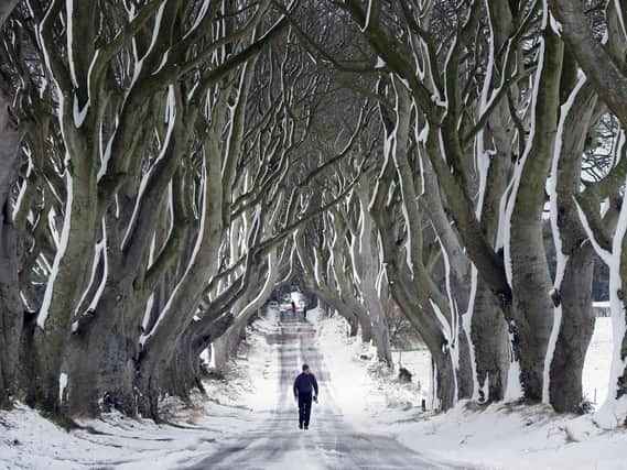 One of Northern Ireland's most popular filming locations, The Dark Hedges only appeared in Game of Thrones for a split second - when a cart carried Arya Stark and the Hound down the King's Road in Series 2 - but this iconic tree lined road is still one of the top locations to see on fan's lists.