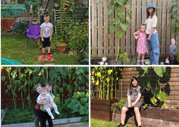 The winner and runners-up of the Mid and East Antrim In Bloom Tallest Sunflower Competition have been announced.