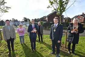 Mayor Alderman Stephen Martin was joined by First Minister Paul Givan and Chair of the NI Centenary Working Group Councillor Scott Carson. Chair of the Aghalee Village Hall Committee Lewis Trevithick was also in attendance with local residents Amanda McGrath and Eilidh Duncan