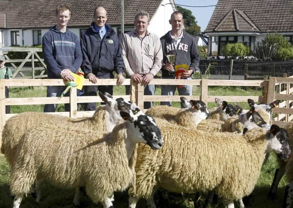 Pictured are John McAllister, James Delargy, Glens Farm Supplies, John Murphy, judge, and John McNeill at a show and sale of sheep at  Cushendun in September 2012. Pictures: Steven McAuley/Farming Life archives (unless otherwise stated)